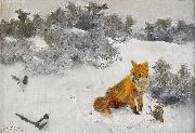 bruno liljefors Fox in Winter Landscape oil painting